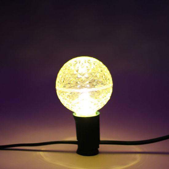 G50 Bulb Warm White - Holidynamics
