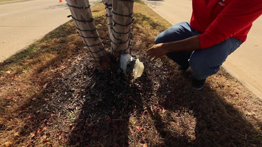 Still from "Homeowner's Association Tree Install"  -  Let's Get Lit Supply (YouTube). Outdoor power box and wrapped t...