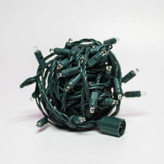 Warm White Mini Stretch Lights - Holidynamics 50L