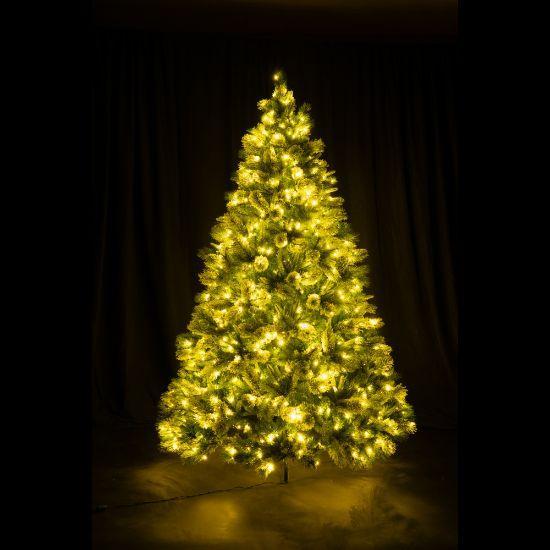 7.5' Scotch Pine Christmas Tree with 3mm RGBWW LED lights with warm white lights lit up