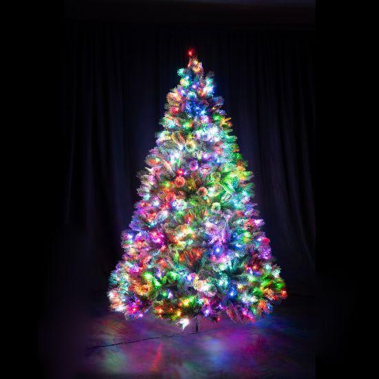 7.5' Scotch Pine Christmas Tree with 3mm RGBWW LED lights with multi color lit up