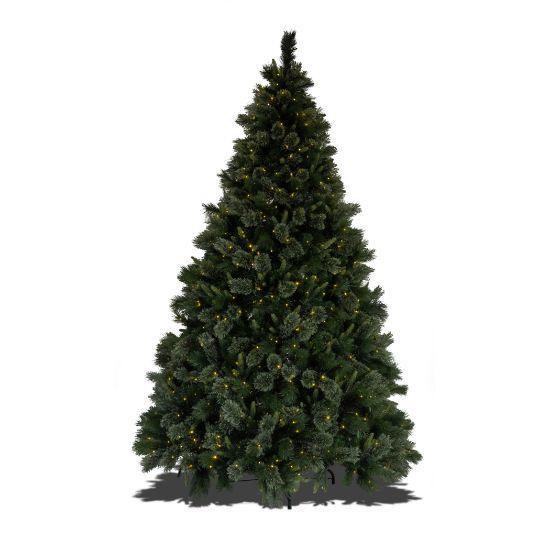 7.5' Scotch Pine Christmas Tree with 3mm RGBWW LED lights