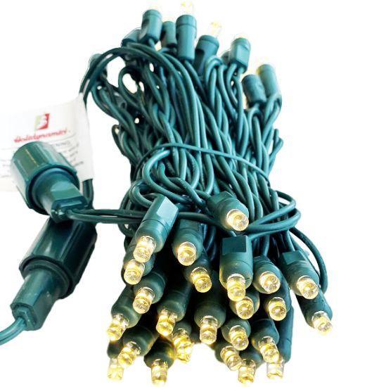RGBWW 4in spacing coaxial strands by Holidynamics for use with RGBWW controllers