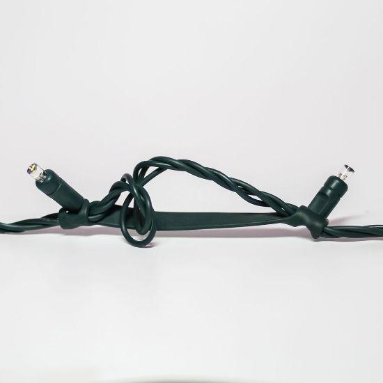 Warm White Mini Stretch Lights - Holidynamics 50L