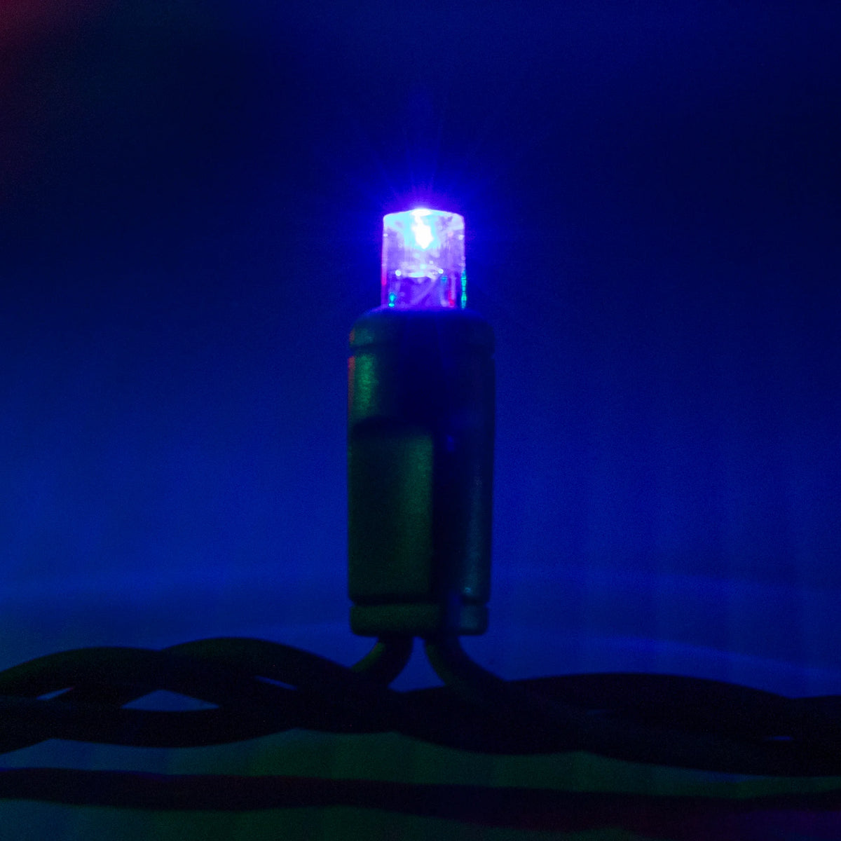 Multi 5mm Mini Lights - Big & Bright 70L