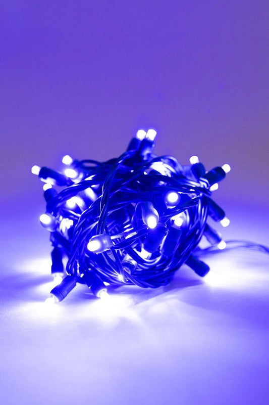 Luces Moradas Mini de 5mm - Platino 70L
