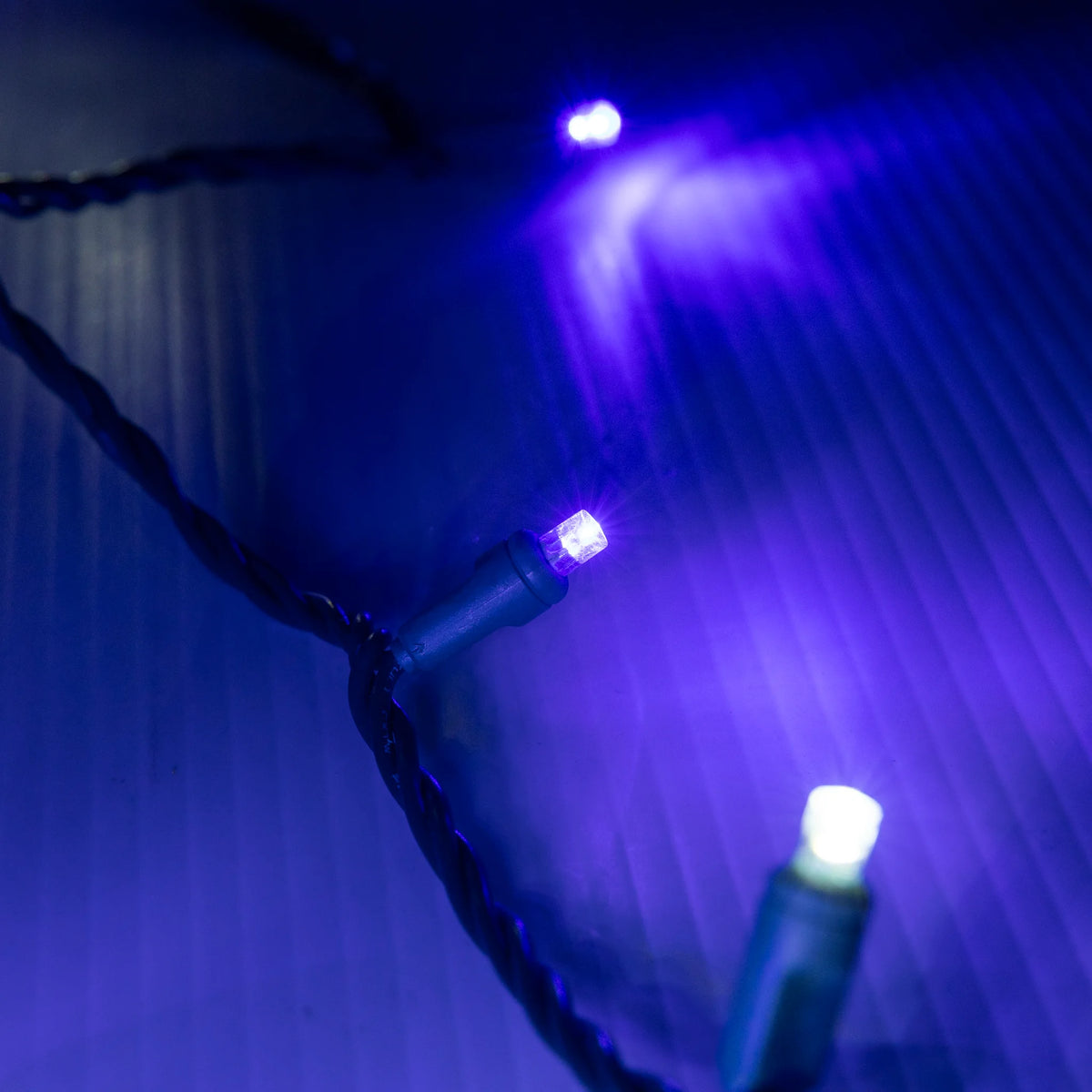 Winter (Cool White/Blue) 5mm Mini Lights - Platinum 70L