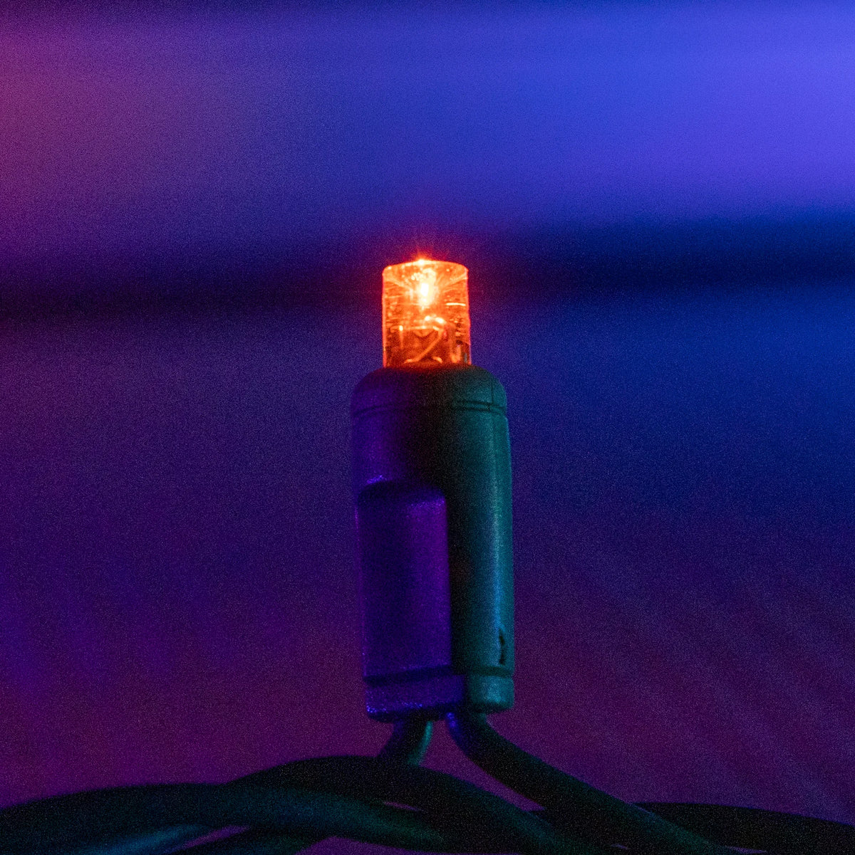 Multi 5mm Mini Lights - Big & Bright 70L
