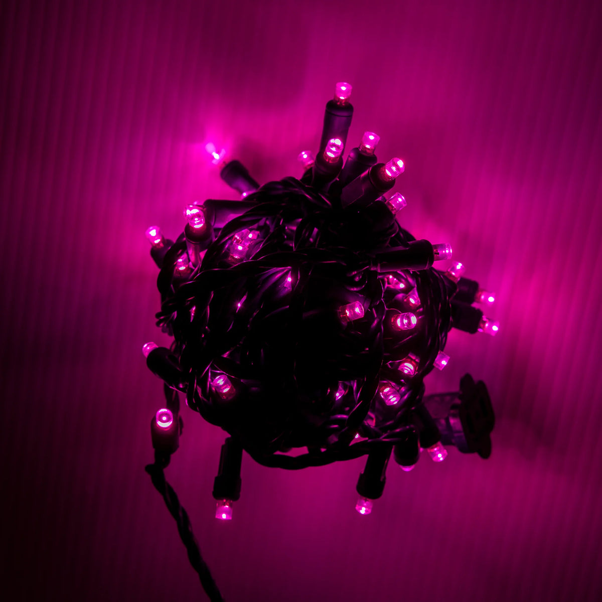 Pink 5mm Mini Lights - Big & Bright 70L