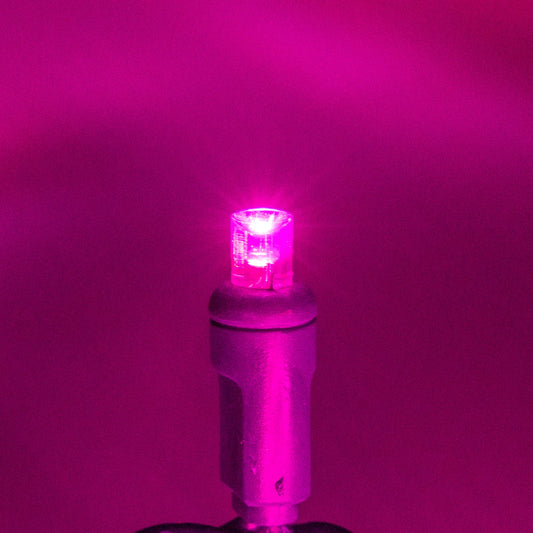 Pink 5mm Mini Lights - Platinum 70L