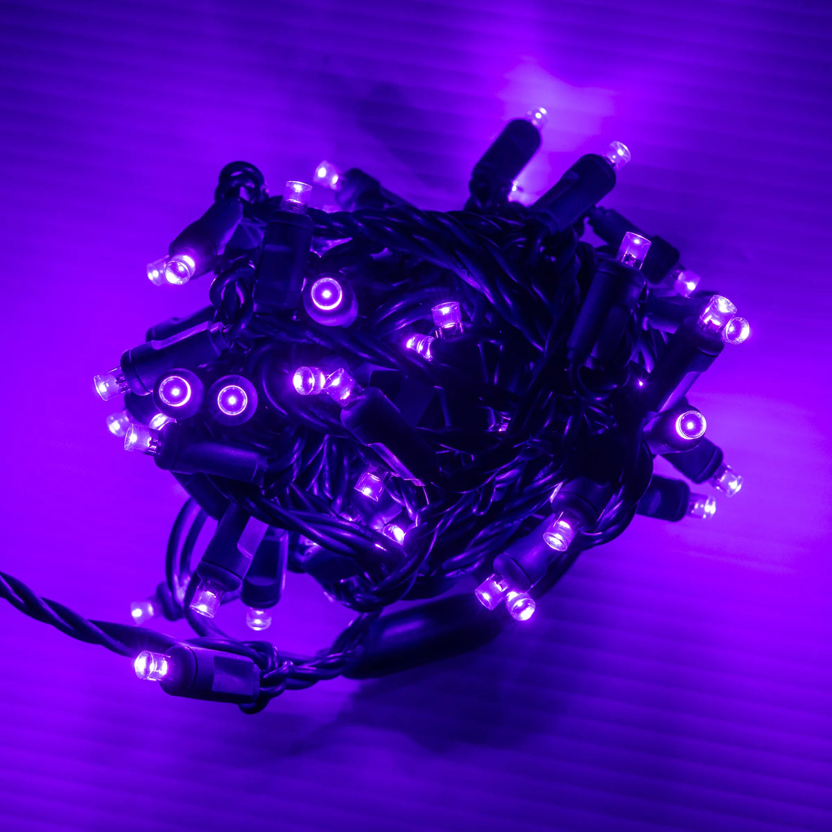 Purple 5mm Mini Lights - Big & Bright 70L