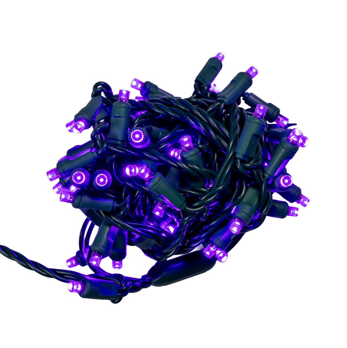 Purple 5mm Mini Lights - Big & Bright 70L