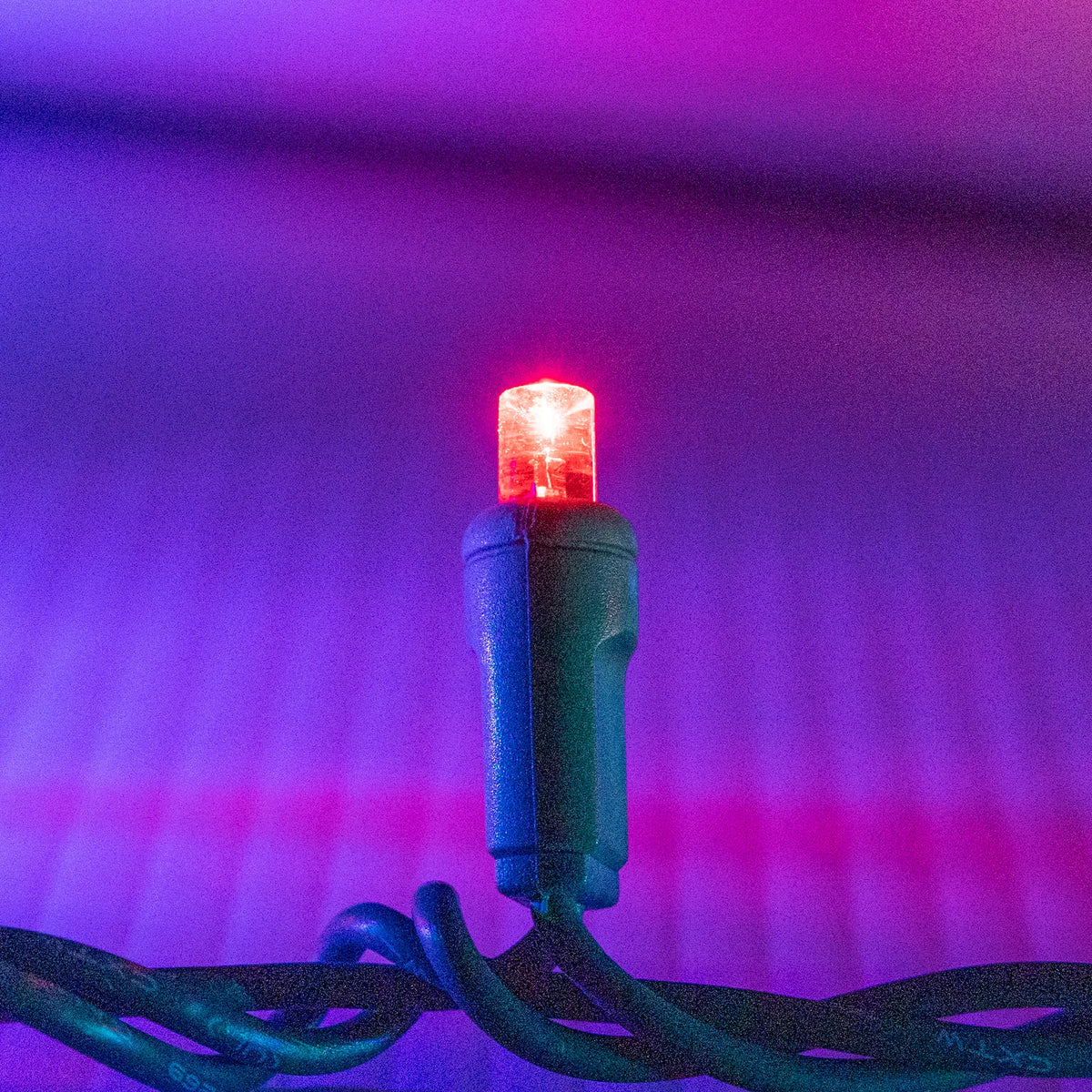 Multi 5mm Mini Lights - Big & Bright 70L