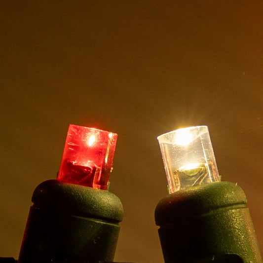 Pure White/Red 5mm Mini Lights - Platinum 70L
