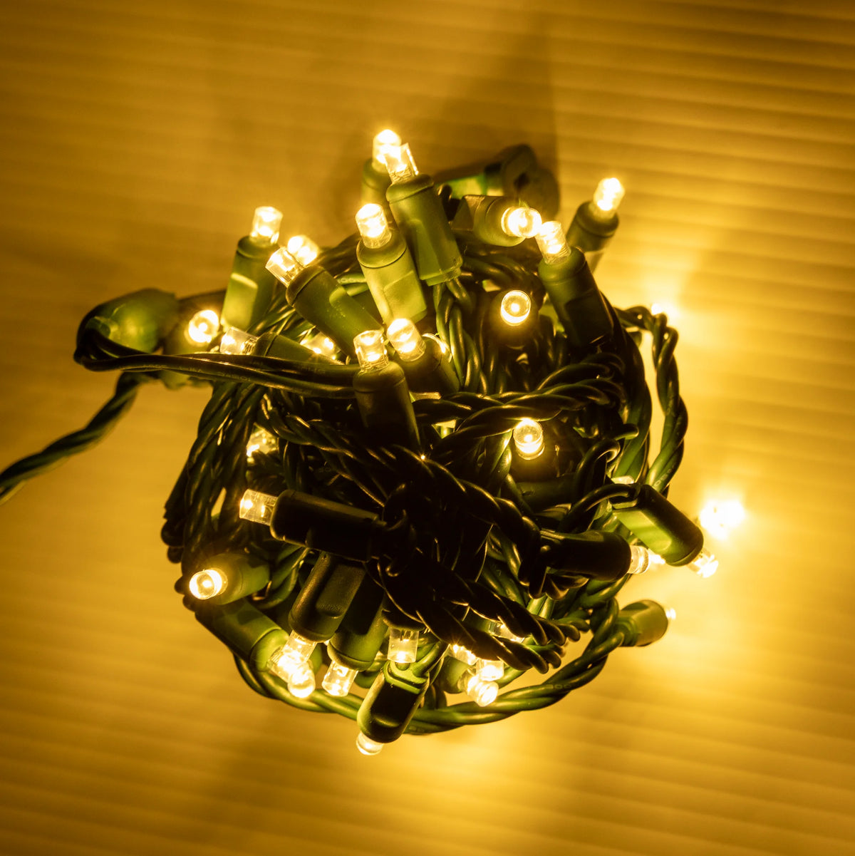 Sun Warm White 5mm Mini Lights - Platinum 70L