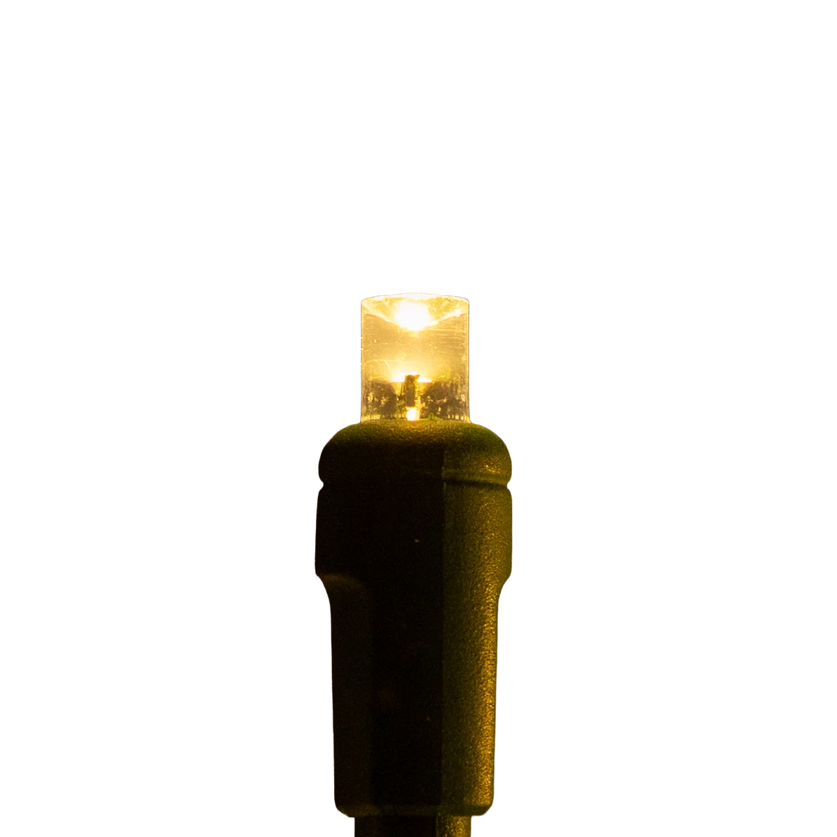 Sun Warm White 5mm Mini Lights - Platinum 70L
